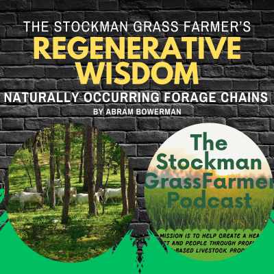 episode Naturally Occurring Forage Chains by Abram Bowerman artwork