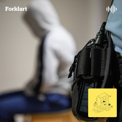 episode Politiet slår alarm: Kriminelle nettverk tapper statskassen artwork