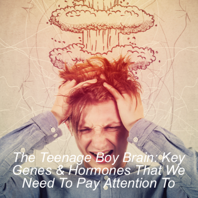 episode Understanding The Teenage Boy Brain, Key Genes and Hormonal Activity That Parents Need To Pay Attention To artwork