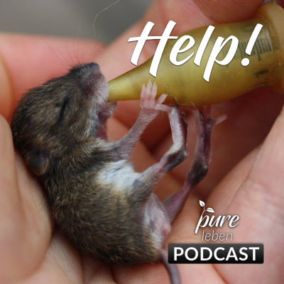 episode 76. Wie kann ich Wildtieren helfen? (Teil 3) artwork