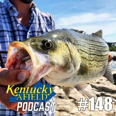 episode #148 Jeff Crosby - Hybrid Vigor, Top Fish, Spring Fishing artwork