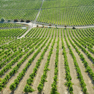 episode Economía en Andaluz 22 de agosto de 2025 artwork