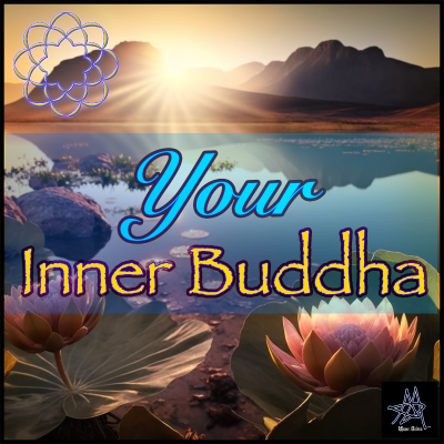 episode YIB #16- Trust the Universe artwork