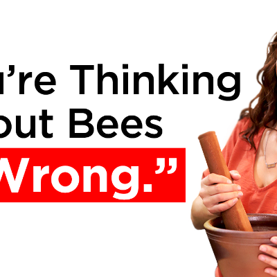 episode Bee-keeping Expert: Kaylee Richardson, the Honeystead artwork