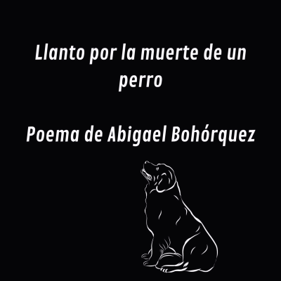 episode Llanto por la muerte de un perro artwork