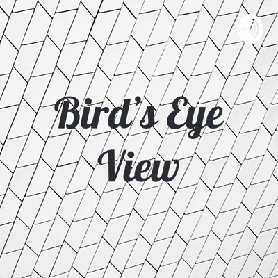 Bird’s Eye View