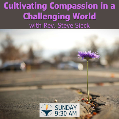 episode Cultivating Compassion in a Challenging World with Rev. Steve Sieck artwork