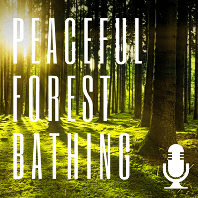 episode A Peaceful Forest Bathing Session artwork