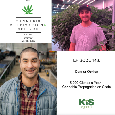 episode Episode 148: 15,000 Clones a Year — Cannabis Propagation with Connor Ockfen artwork