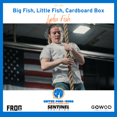 episode Big Fish, Little Fish, Cardboard Box - Lydia Fish artwork