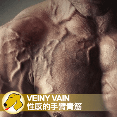 episode Veiny Vain / 性感的手臂青筋 artwork