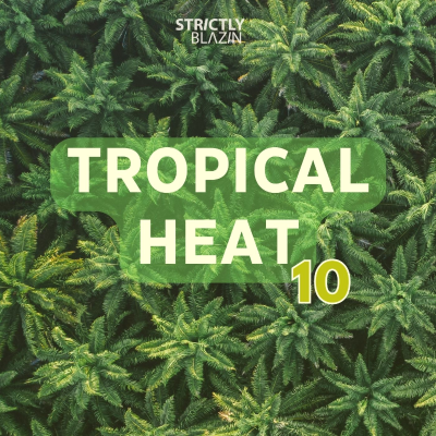 episode Tropical Heat 10 artwork