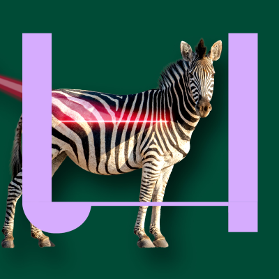 episode 733. Waarom heeft een zebra strepen? artwork
