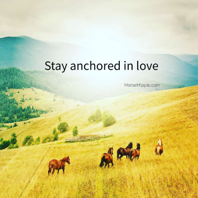 episode Anchored in Love artwork