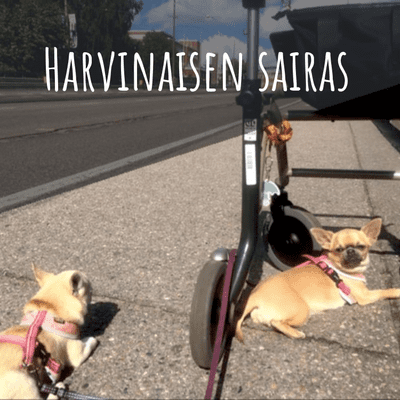 Harvinaisen sairas