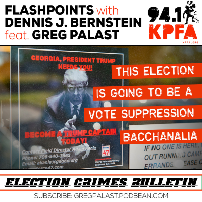 episode This Election is Going to be a Vote Suppression Bacchanalia artwork