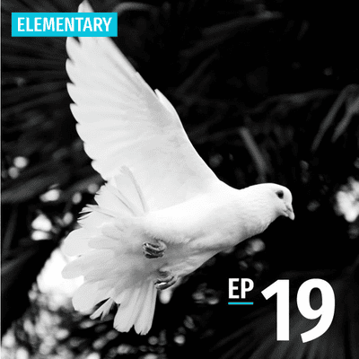 episode Ep19: What’s your opinion? | Lí ū siánn-mih khuànn-huat 你有啥物看法? artwork