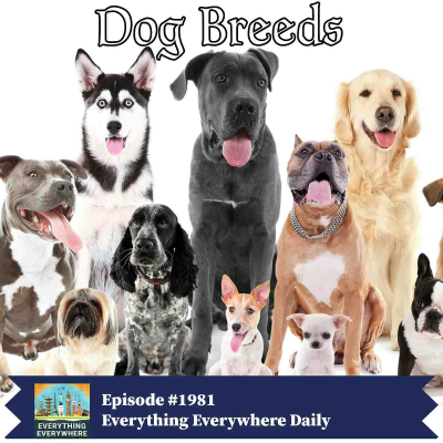 episode All About Dog Breeds artwork