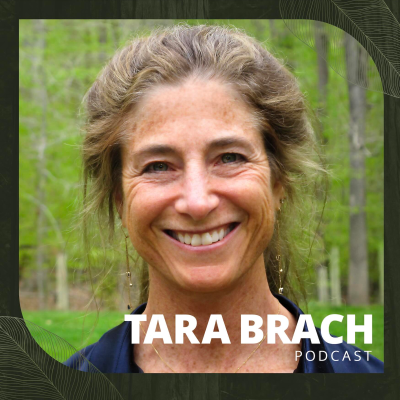 episode Clearing Space for Spirit: A Conversation with Tara Brach & Patty Morrissey artwork
