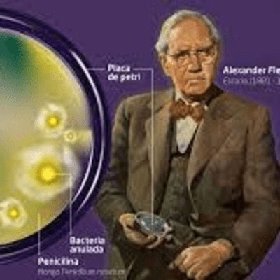 episode Alexander Fleming artwork
