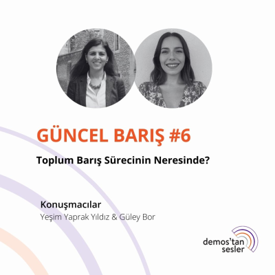 episode Toplum Barış Sürecinin Neresinde? artwork