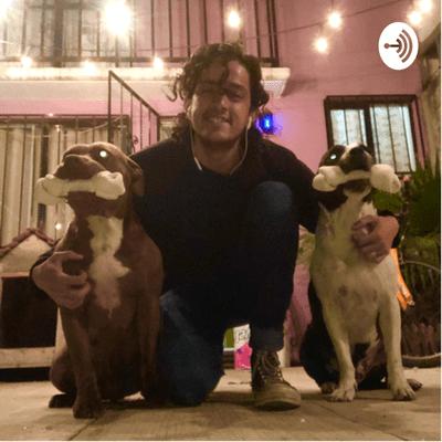 episode El perro desesperado artwork