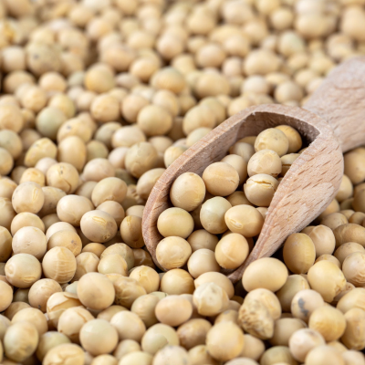 episode Too little, too late? artwork