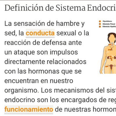 episode Estructura la funcionalidad del sistema Endocrino en la adaptabilidad y desarrollo del ser humano artwork