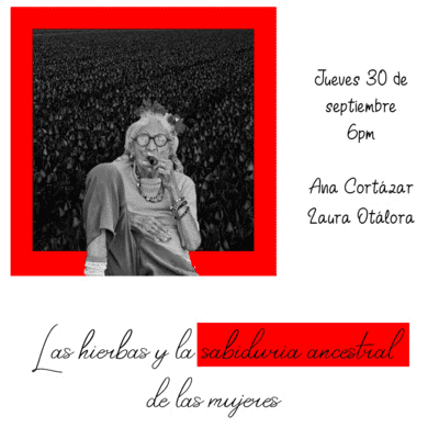 episode 20. LAS HIERBAS Y LA SABIDURÍA ANCESTRAL DE LAS MUJERES artwork