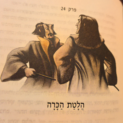 episode הארי פוטר ומסדר עוף החול - פרק 24 - הלטת הכרה artwork