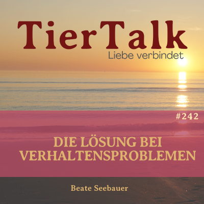 episode 242. Die Lösung bei Verhaltensproblemen artwork