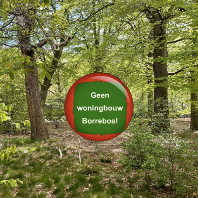 Behoud het Borrebos