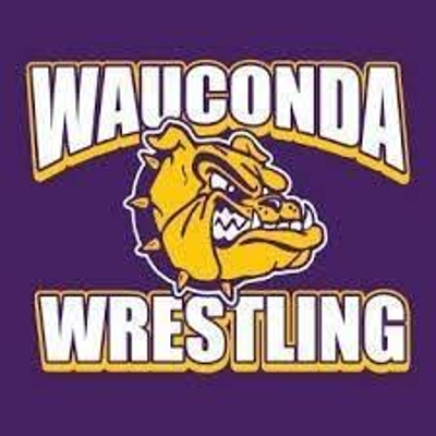 episode Poignant moments in Wauconda Wrestling, part I artwork