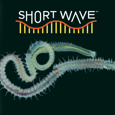 episode Parasites Have Haunted Us For Millions Of Years artwork