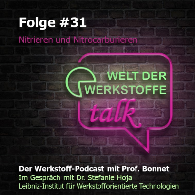 episode Welt der Werkstoffe - talk, Folge 31, Dr. Stefanie Hoja: Nitrieren und Nitrocarburieren artwork