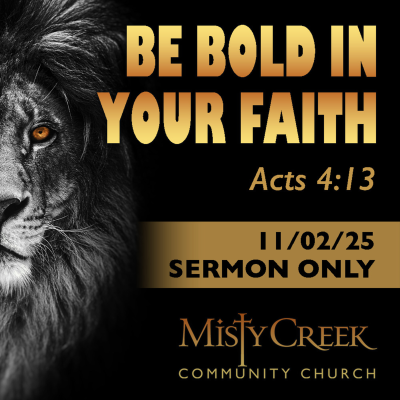 episode 11/02/25 Sermon: "Be Bold In Your Faith" artwork