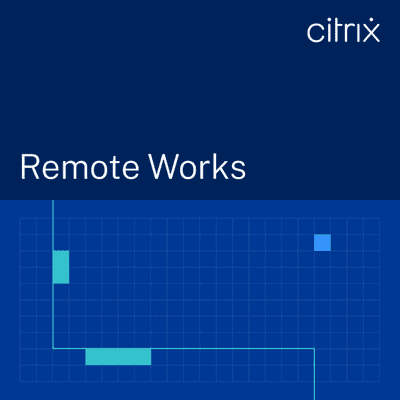 Remote Works: Hybrid Survival Guide