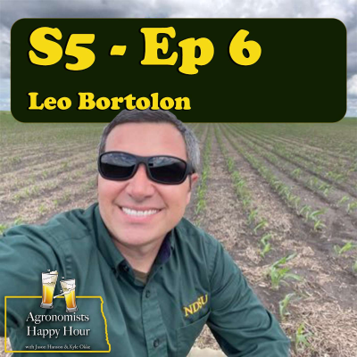 episode Leo Bortolon artwork