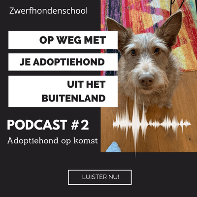 episode #2 - Adoptiehond op komst artwork