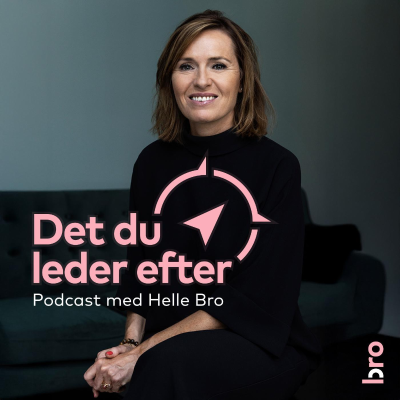 Billede af showet Det du leder efter