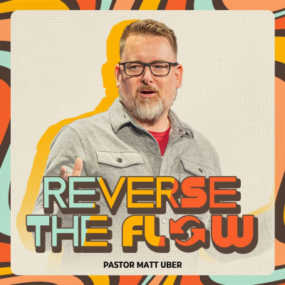 episode Reverse The Flow artwork
