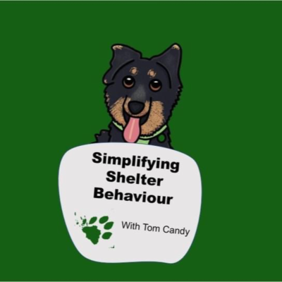 Simplifying Shelter Behaviour