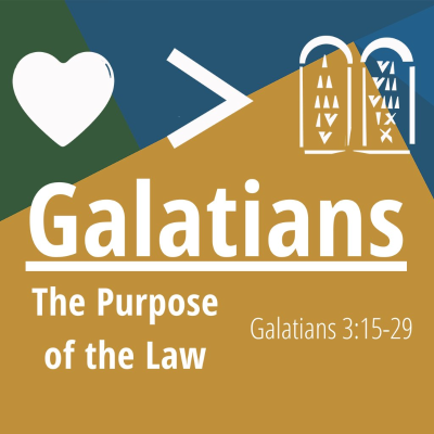 episode The Purpose of the Law artwork