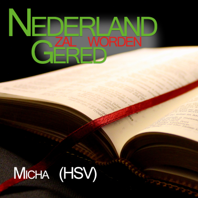 episode 33 Micha (HSV) artwork