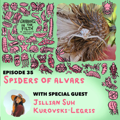 episode Spiders of Alvars with Jillian Suh Kurovski-Legris artwork