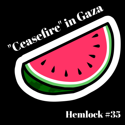 episode The "Ceasefire" in Gaza feat. Sabrina Jennings artwork