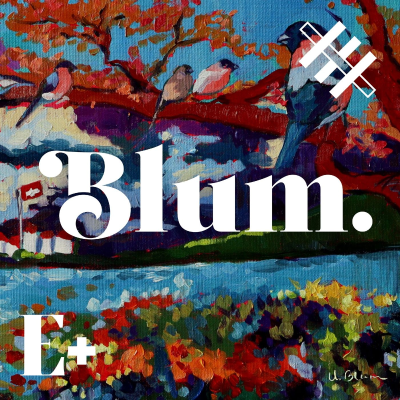 episode BONUS: Cómo se hizo Blum artwork