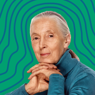 episode Listen Again: Julia Gets Wise with Jane Goodall artwork