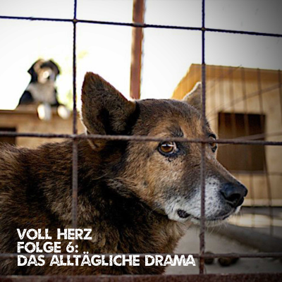 episode Folge 6: Das alltägliche Drama artwork