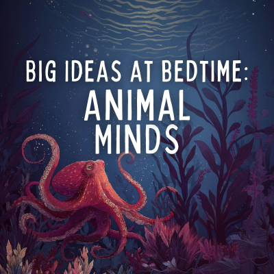 episode Big Ideas at Bedtime: Animal Minds artwork